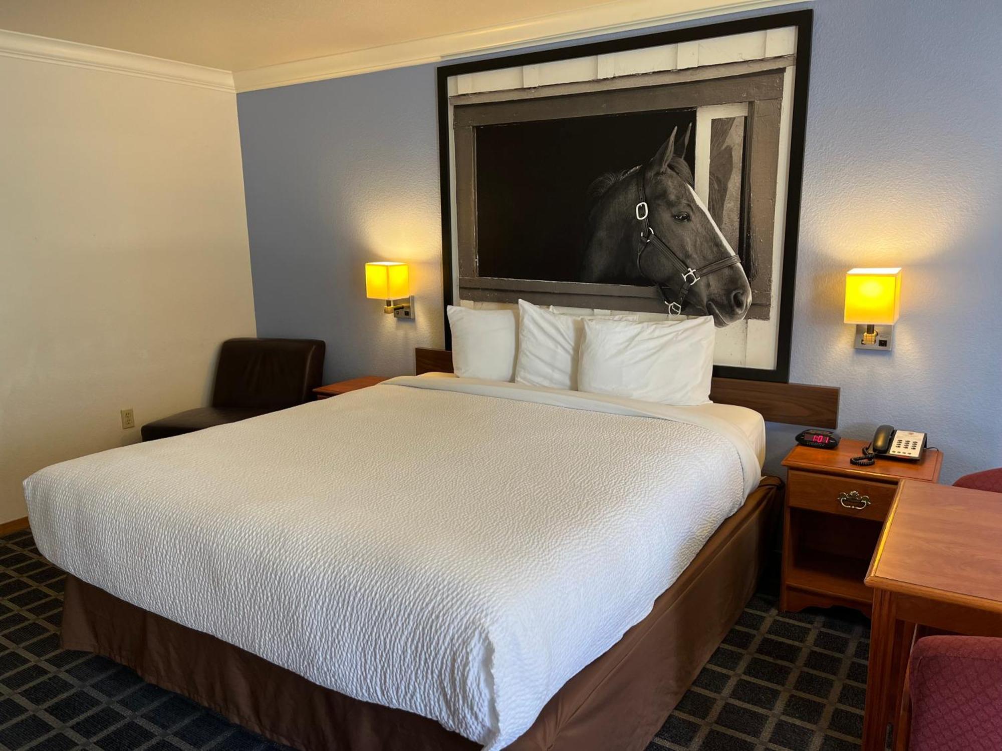 Creekside Inn & Suites Willits Kültér fotó